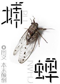 捕蟬