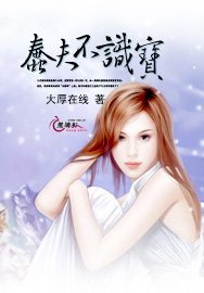 蠢夫不识宝