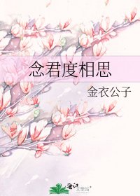 念君度相思