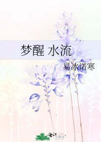 《梦醒 水流》