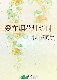 《愛在煙花燦爛時》