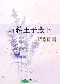 《玩转王子殿下》