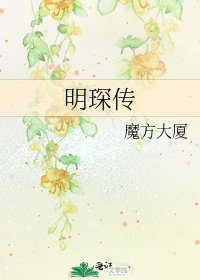 《明琛传》