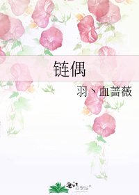 《链偶》