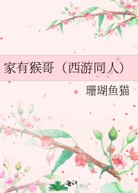 家有猴哥（西游同人）
