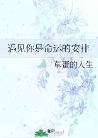 《遇见你是命运的安排》