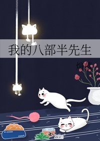 《我的八部半先生》
