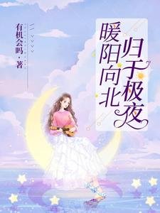 《暖阳向北,归于极夜》