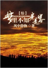 《(综穿同人)梦里不知身是客》